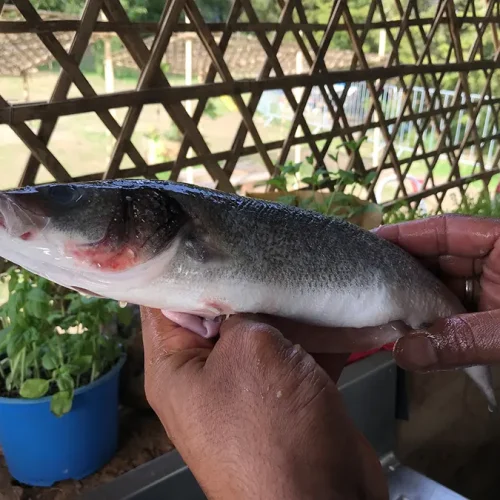 post-colonial-moqueca-de-peixe_7 copy